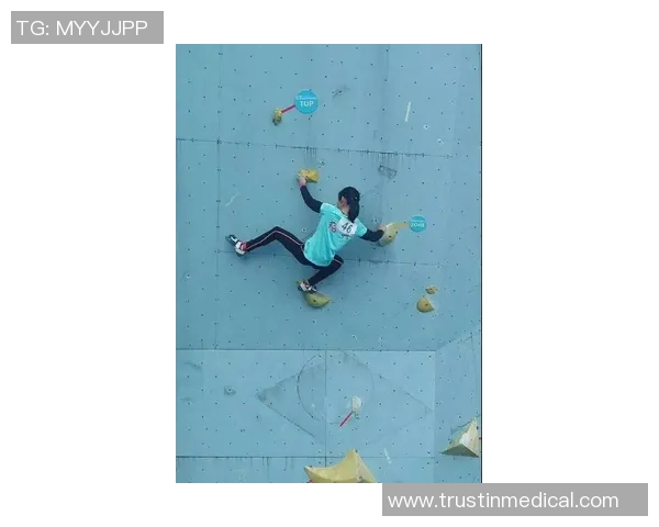 南京攀岩队在全国攀岩比赛经验排行榜中荣获第五名的佳绩分析 南京攀岩队在全国攀岩比赛经验排行榜中荣获第五名的佳绩分析