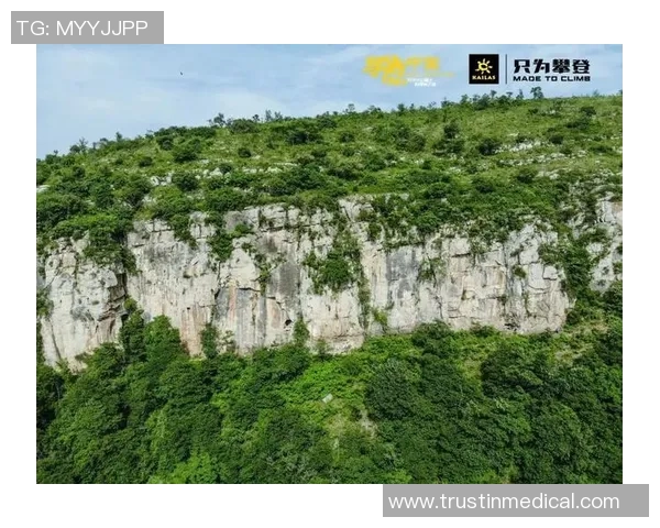 对话陈强:探索攀岩生涯的挑战与成就之路 对话陈强:探索攀岩生涯的挑战与成就之路