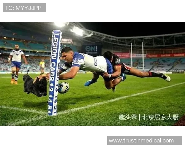 黑猫足球明星观看指南及相关平台推荐详细介绍